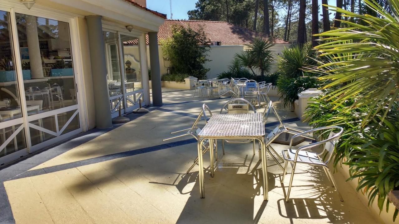 Garden View 2 Dormitorios Con Jardin Y Parrillero Hasta 7 Personas Punta del Este Ngoại thất bức ảnh